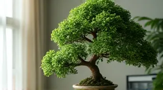 Ficus Retusa Bonsai: Indoor Care and Styling Secrets