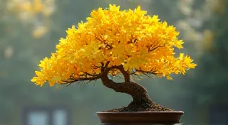 Ginkgo Bonsai: A Living Fossil's Miniature Form