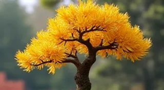 Larch Bonsai: Seasonal Beauty and Care Considerations